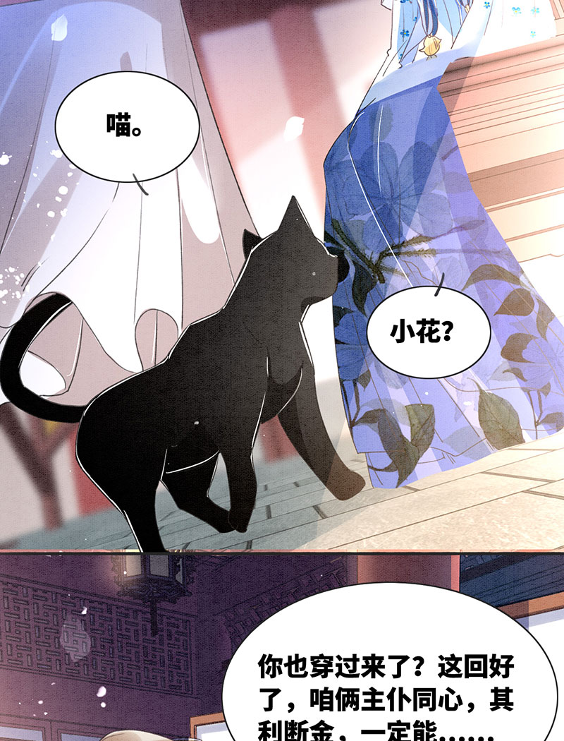 第5话8