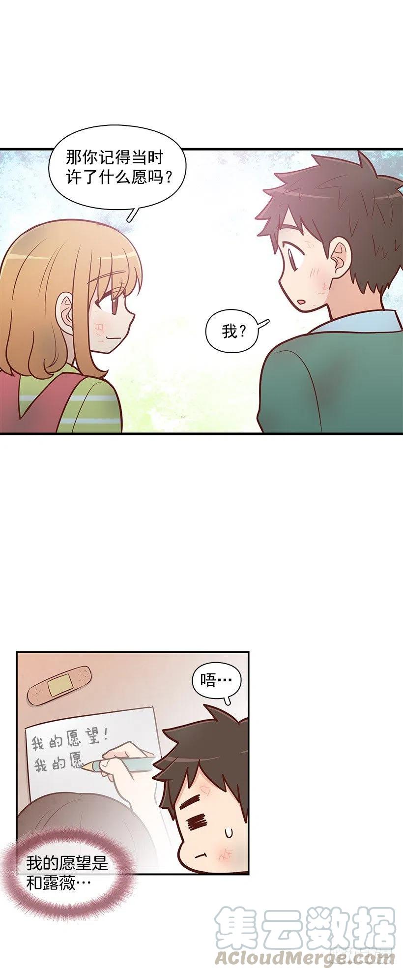愿望树16