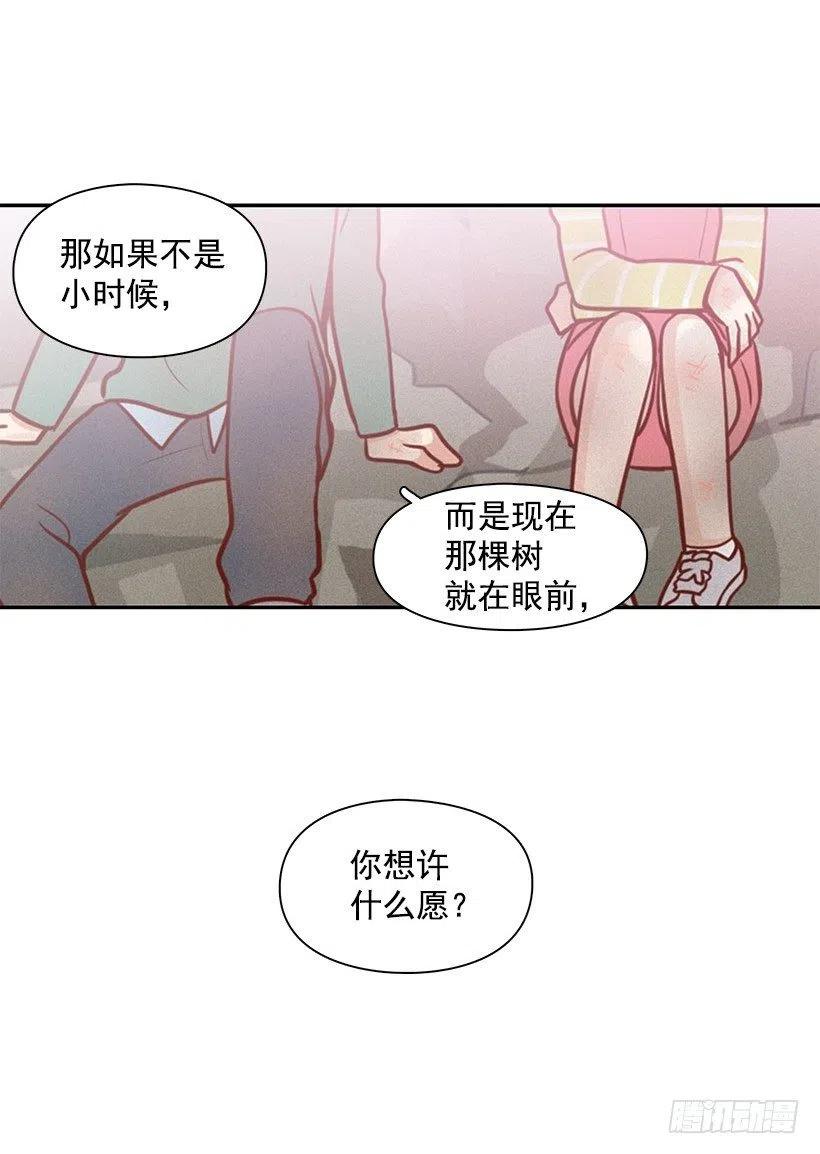 愿望树19