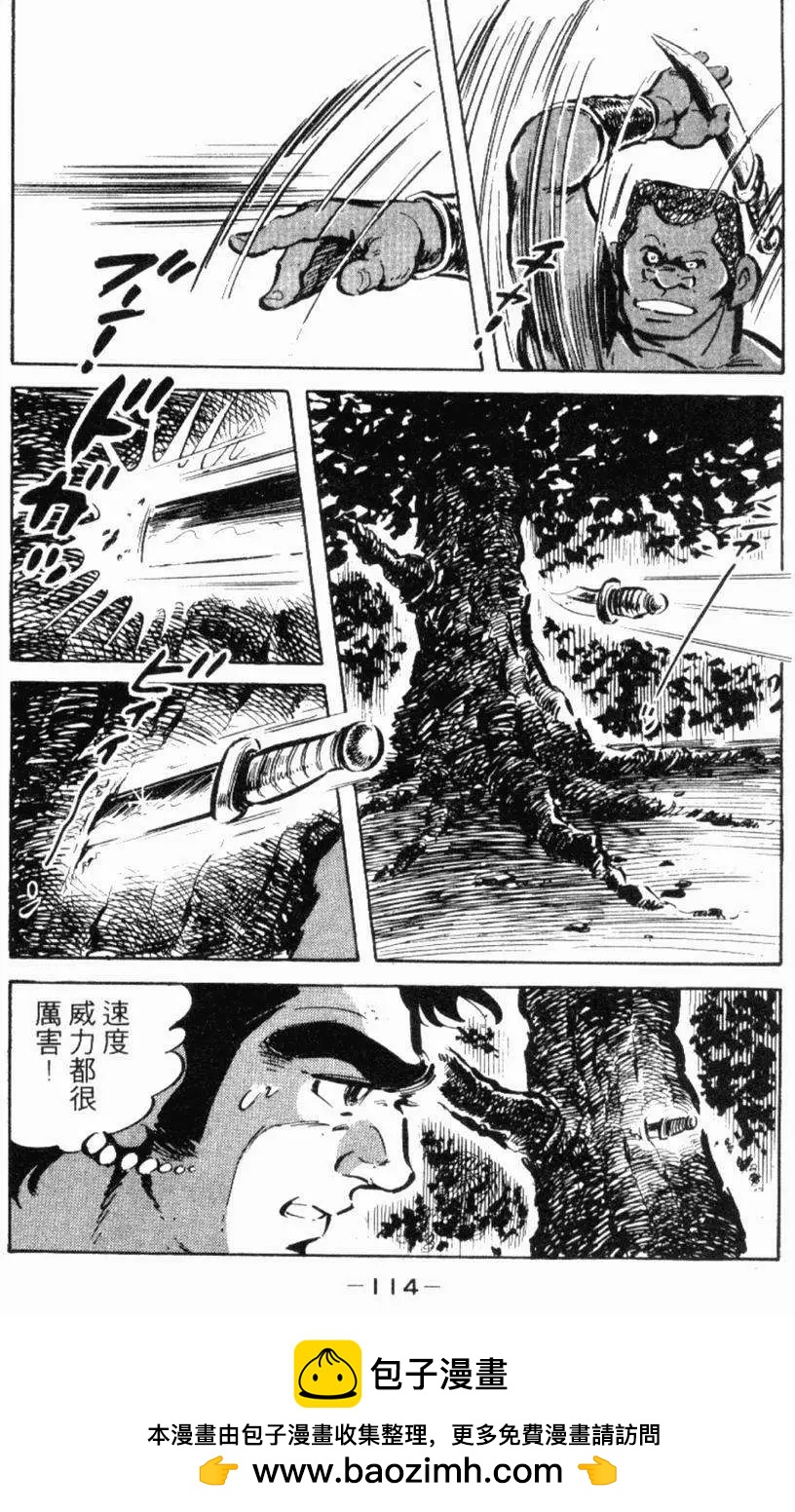 第13卷116