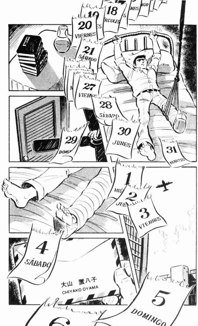 第13卷43
