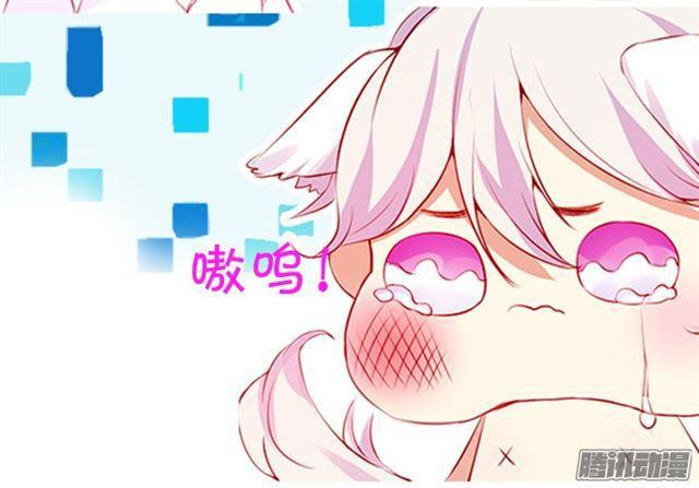 双重危机！何去何从？66