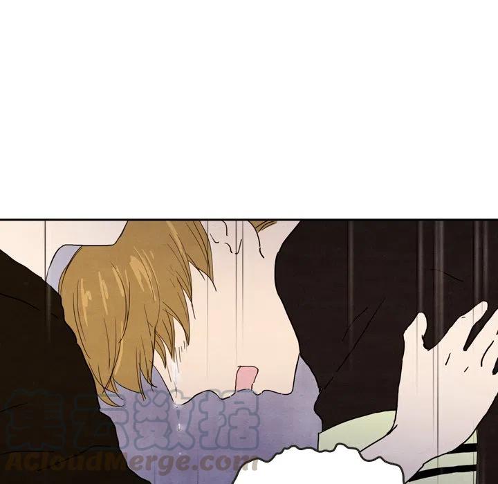 28124