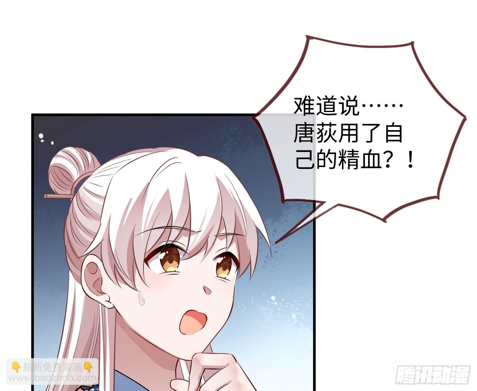真心难得11