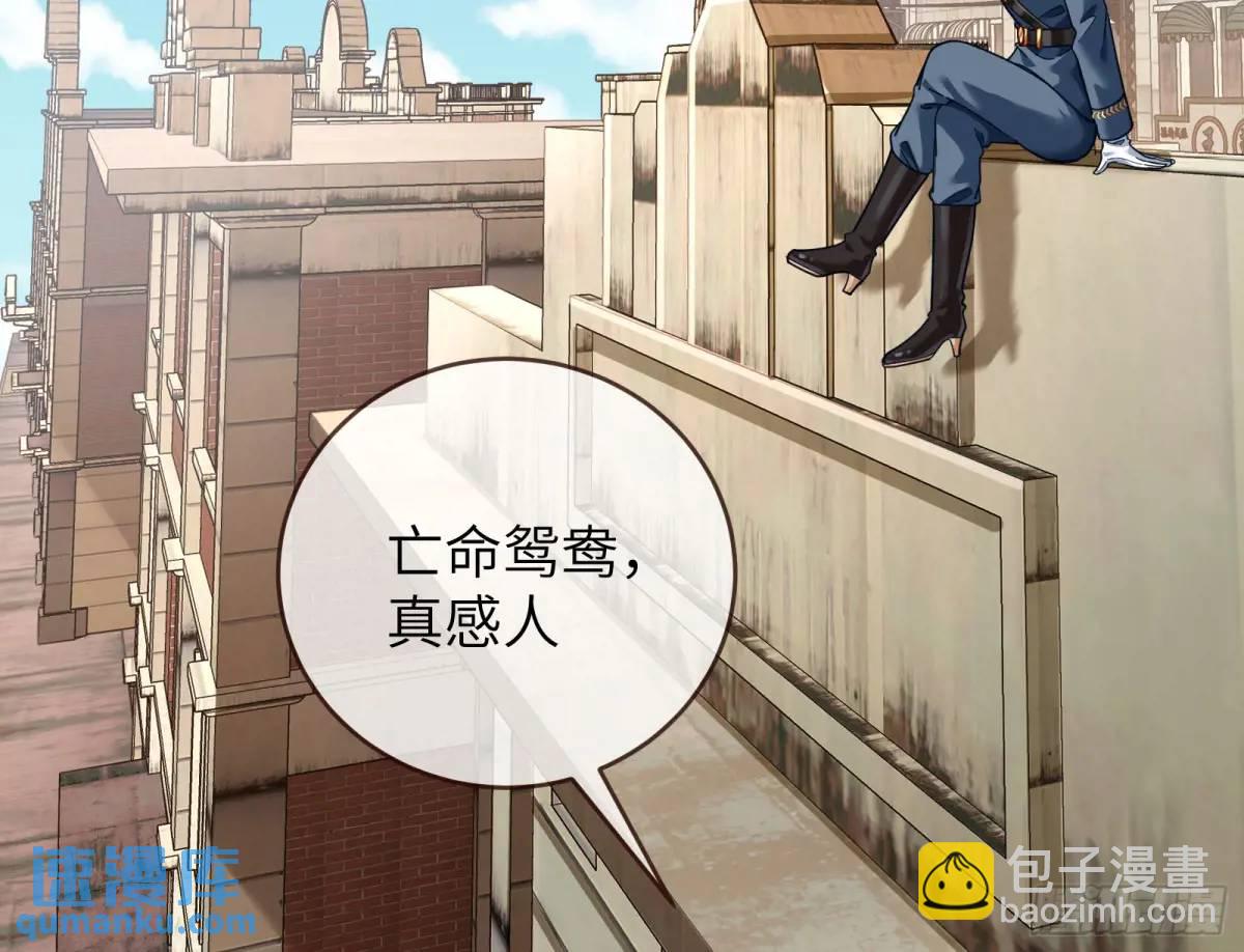 兰因絮果123