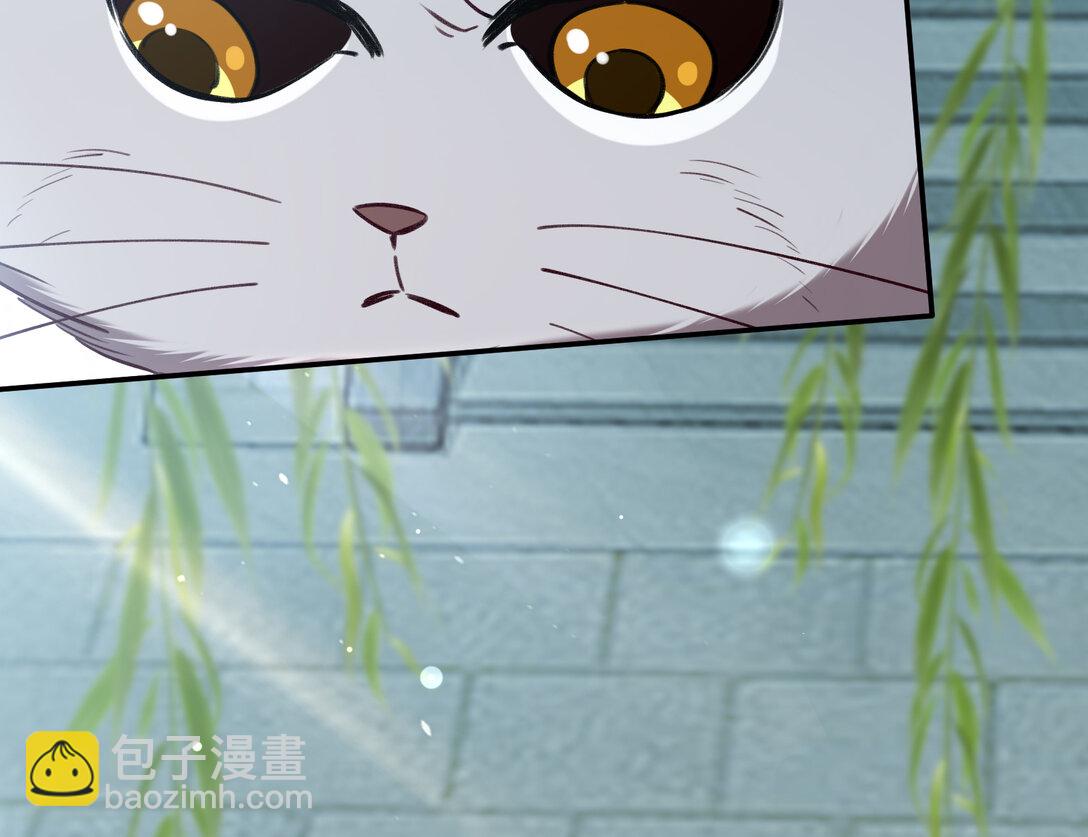 801 万渣第一季完结篇：找到苏绿夏29