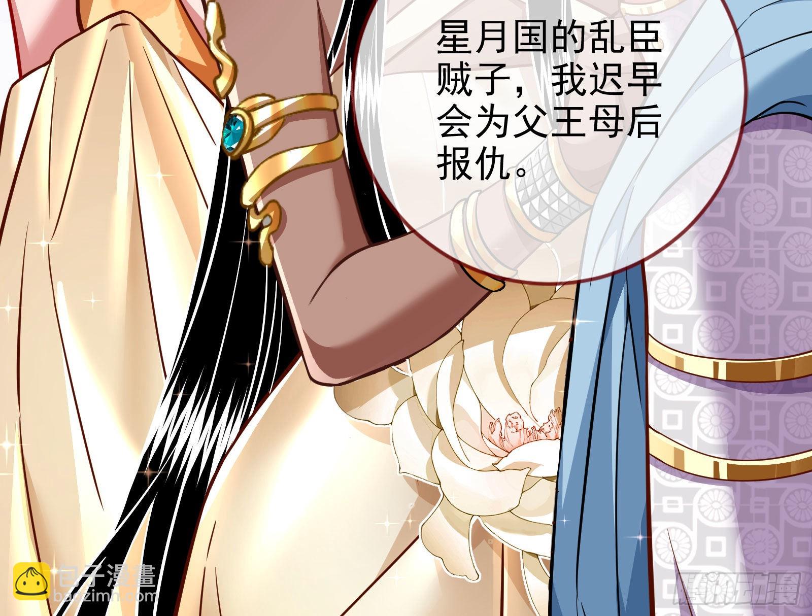 窃国骗局25