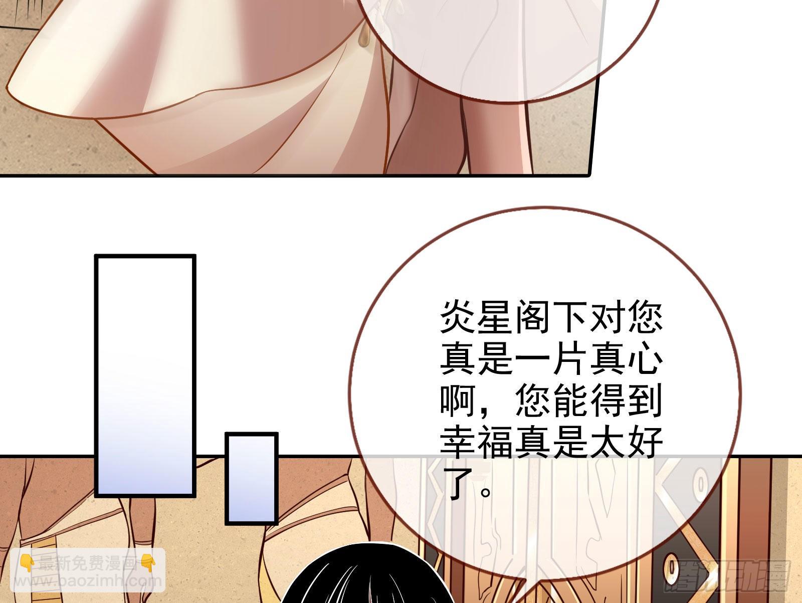 窃国骗局41