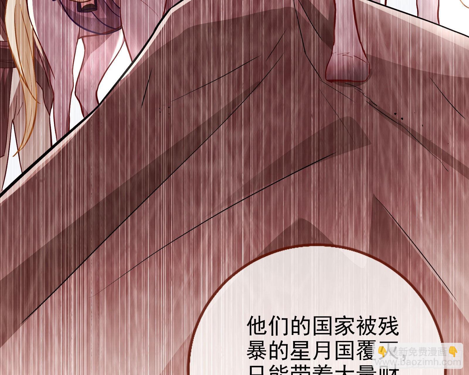 窃国骗局57