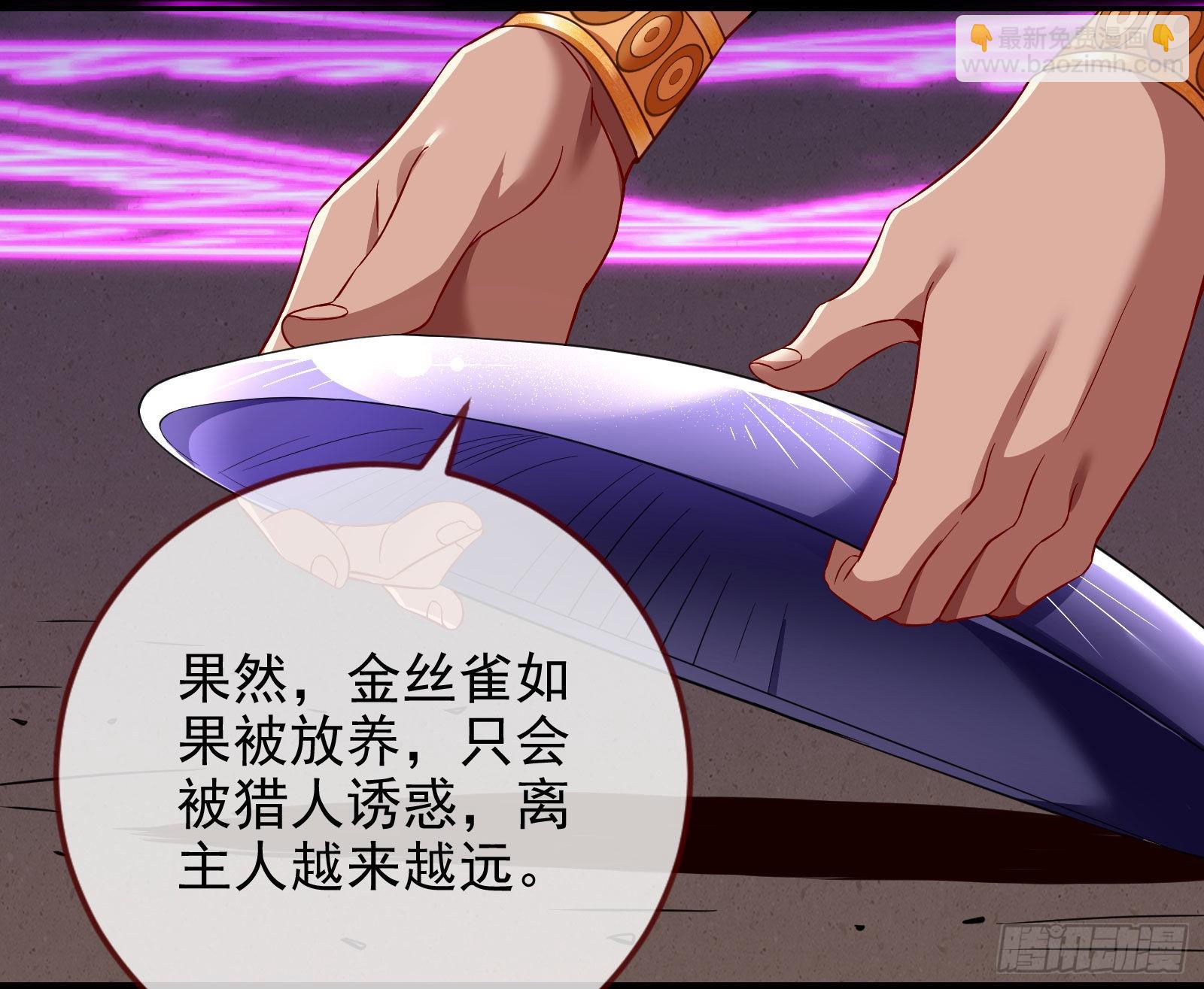 金丝雀与猎人60