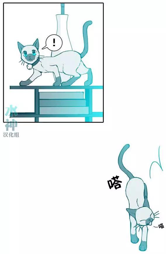第00回4