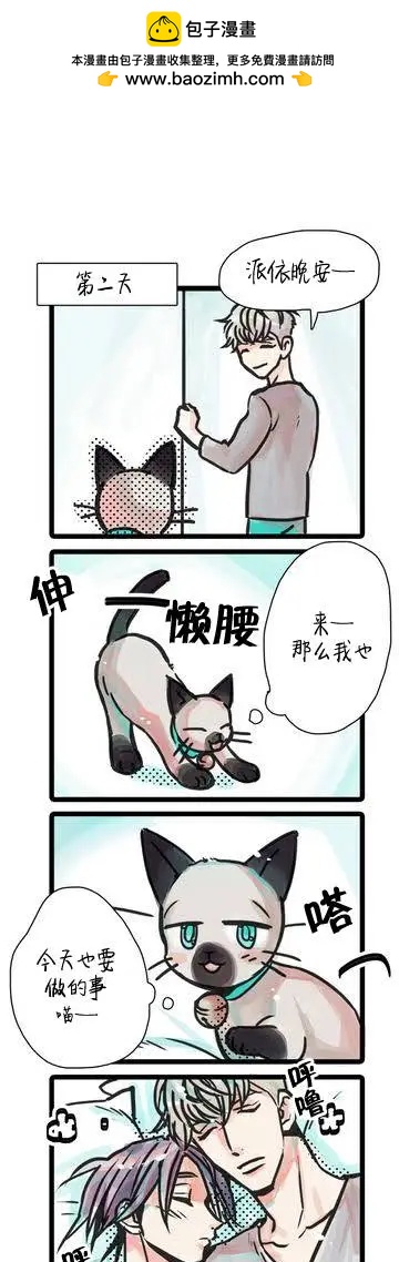 第30.5回1