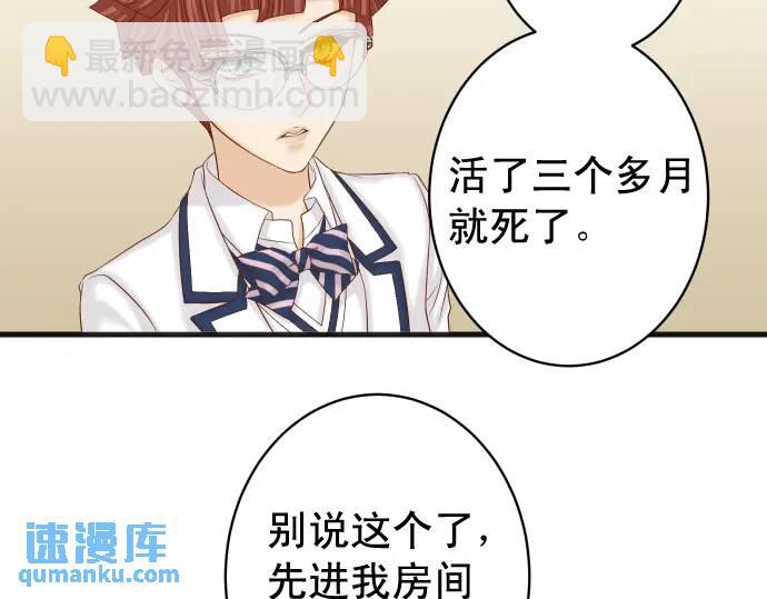第346话 探寻25