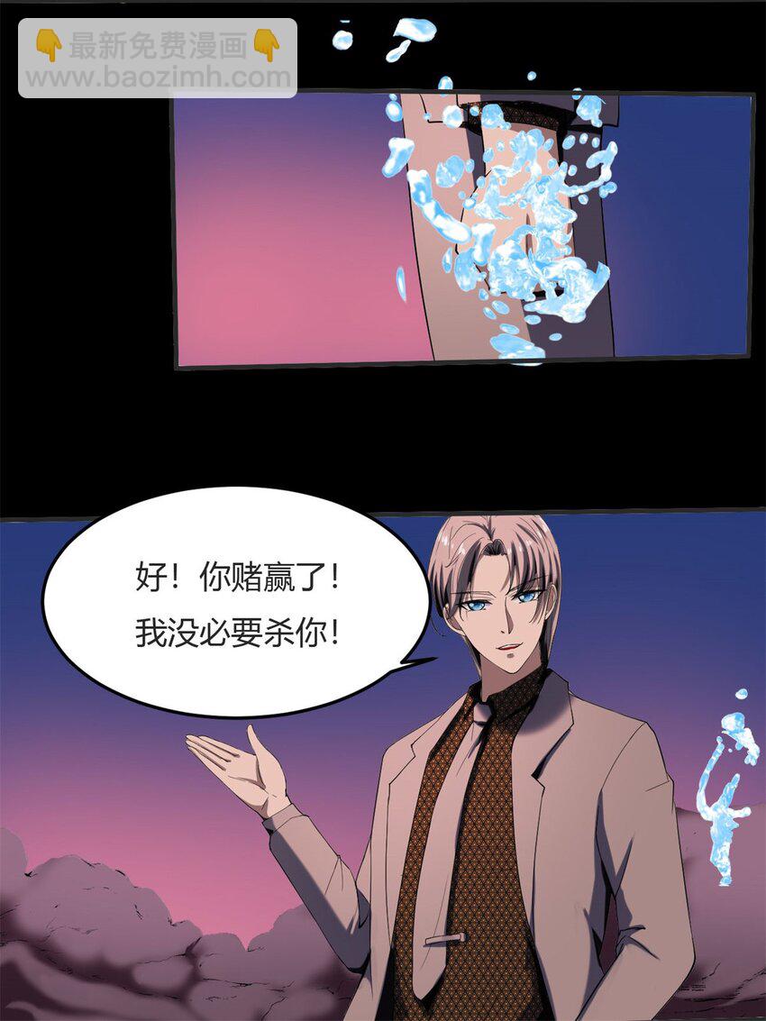 26 第25：雷劫的力量37