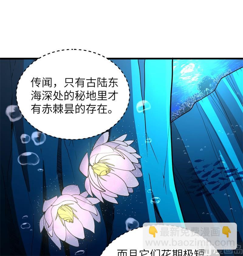 117 交易29