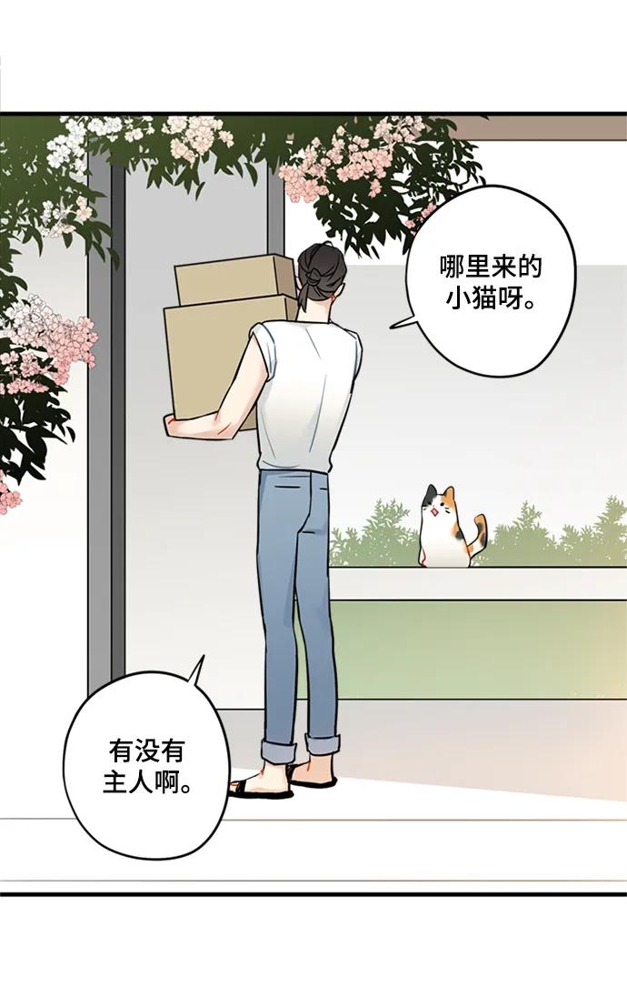 第36话18