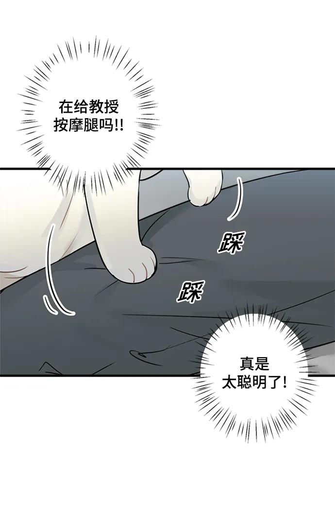 第36话35