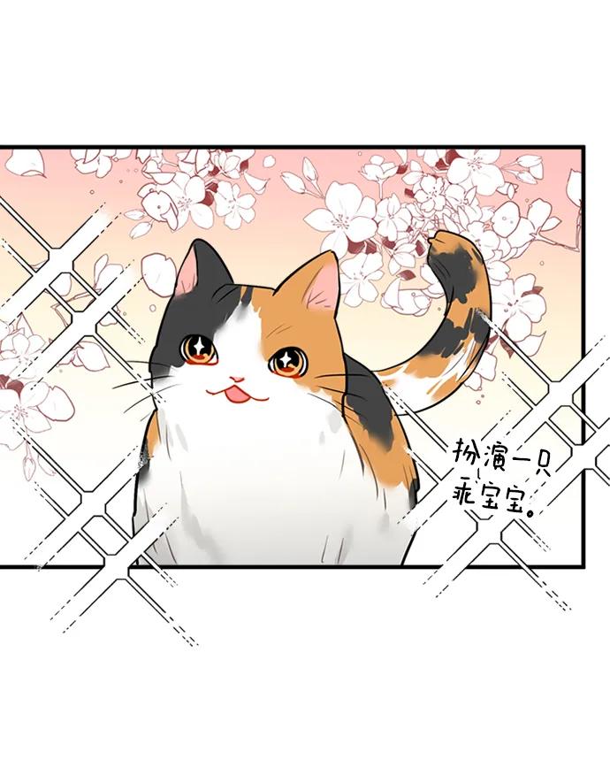 第36话36
