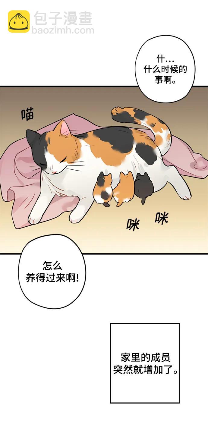 第36话54