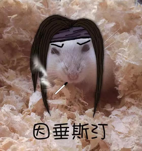 第19回0