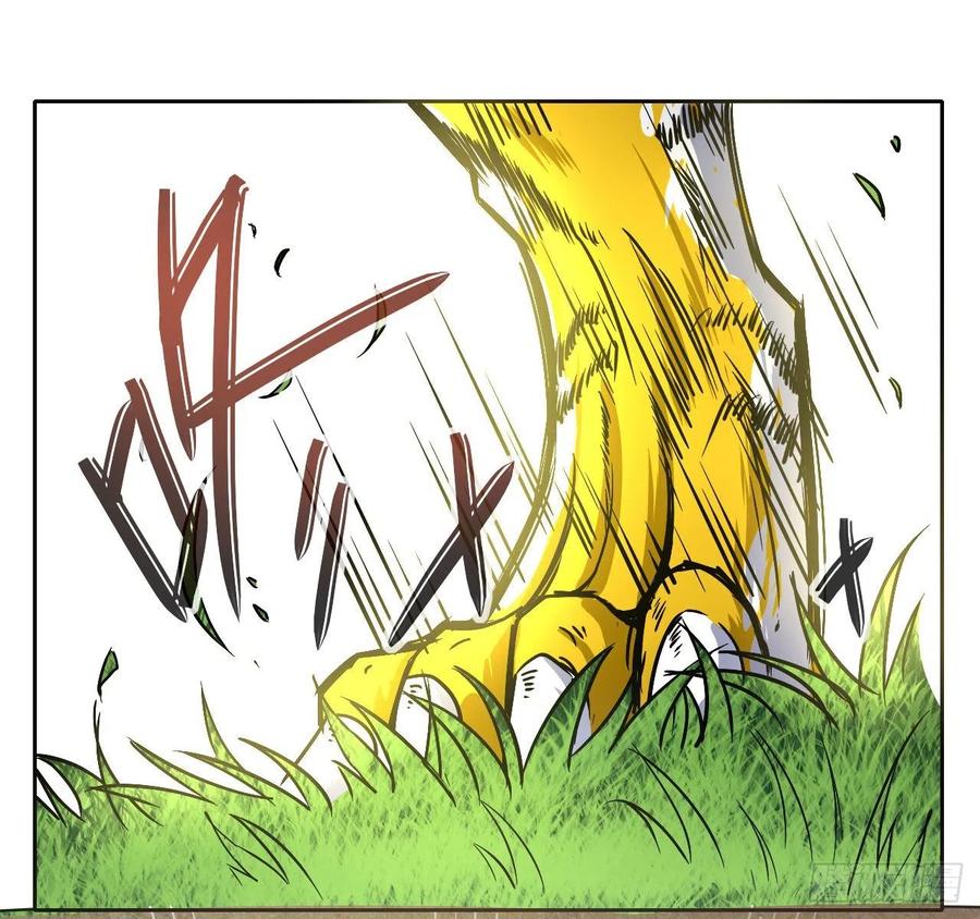 137虎祖37