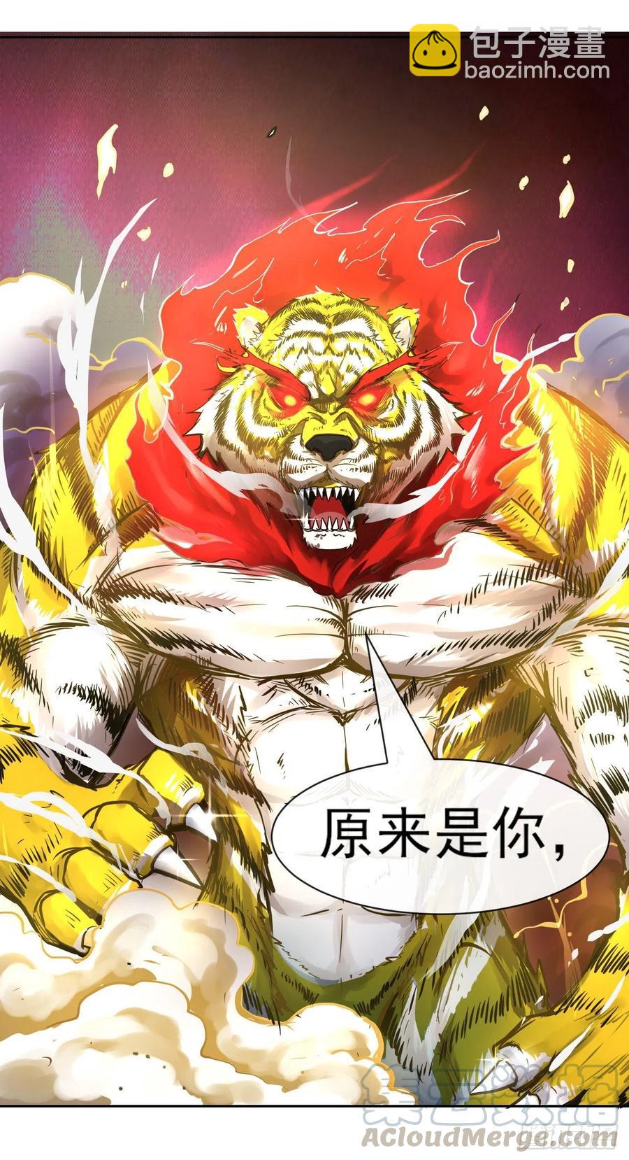 137虎祖61