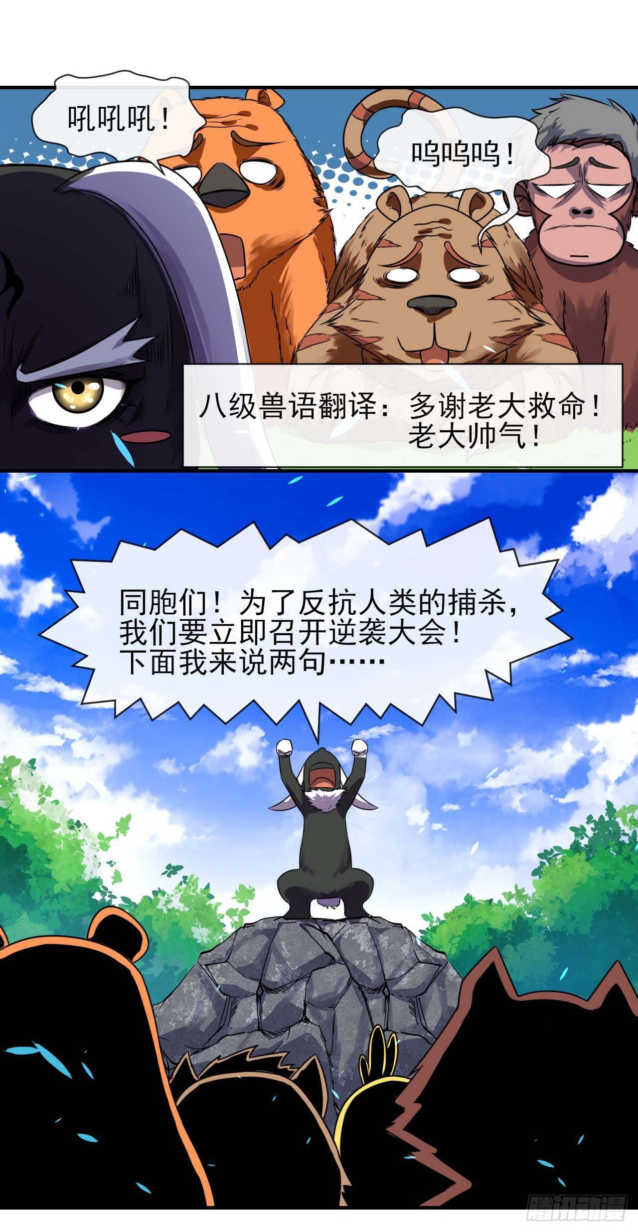 234这局重开13