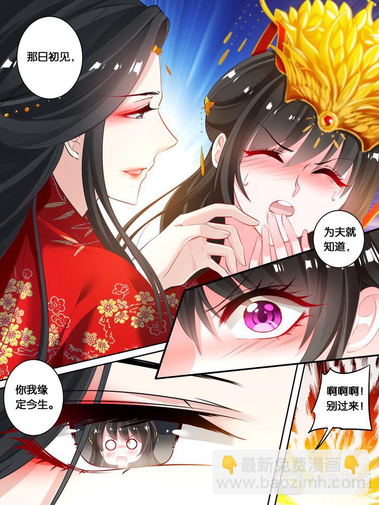 第19话 洞房花烛1