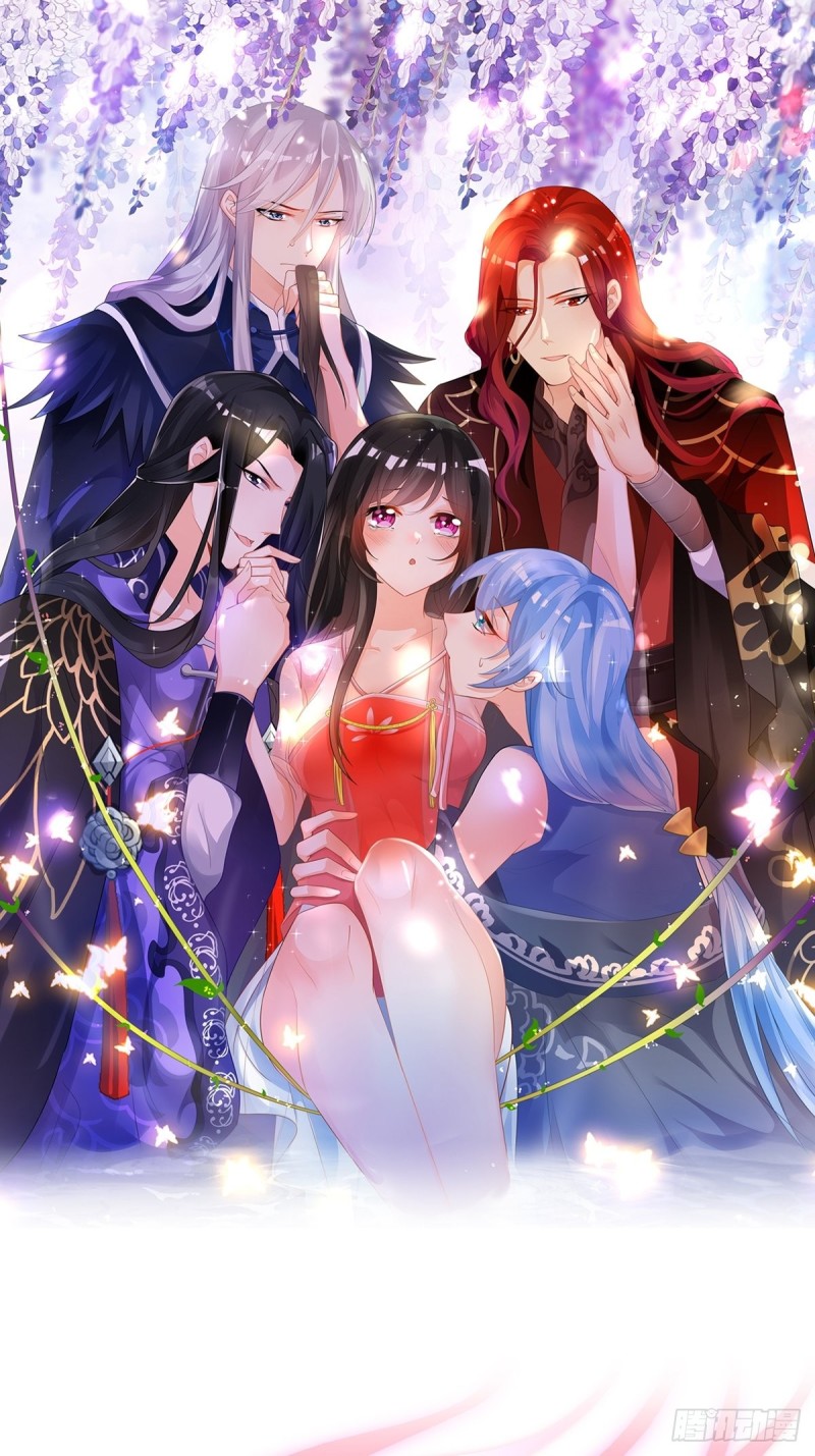 203：缔结婚约0