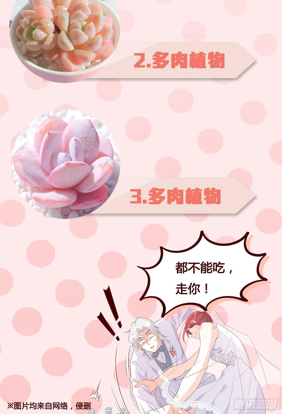 朕逃婚啦!33