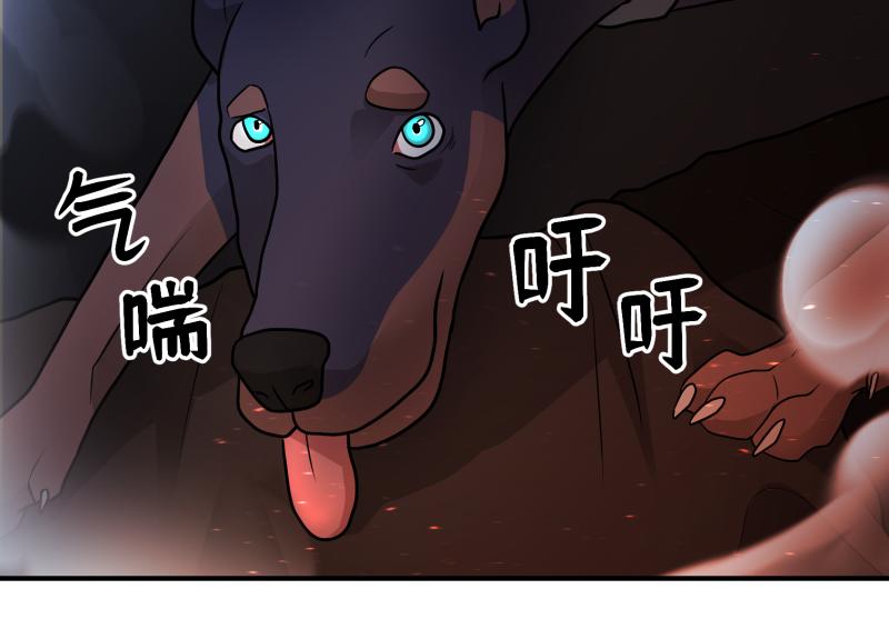 6话：陷阱179
