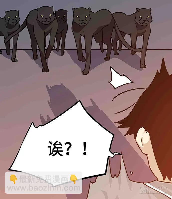 110.为什么要追我?47