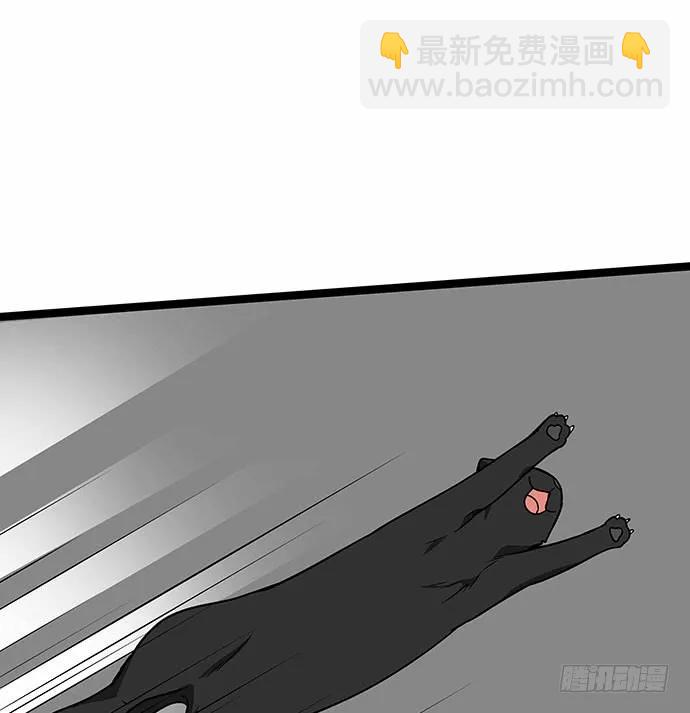 110.为什么要追我?70