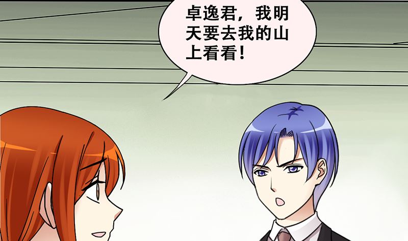 第308话 神秘财团228