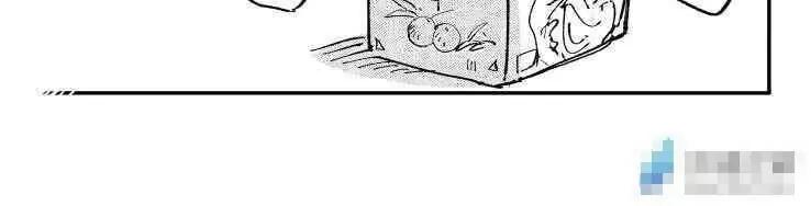 03 猫屎咖啡13