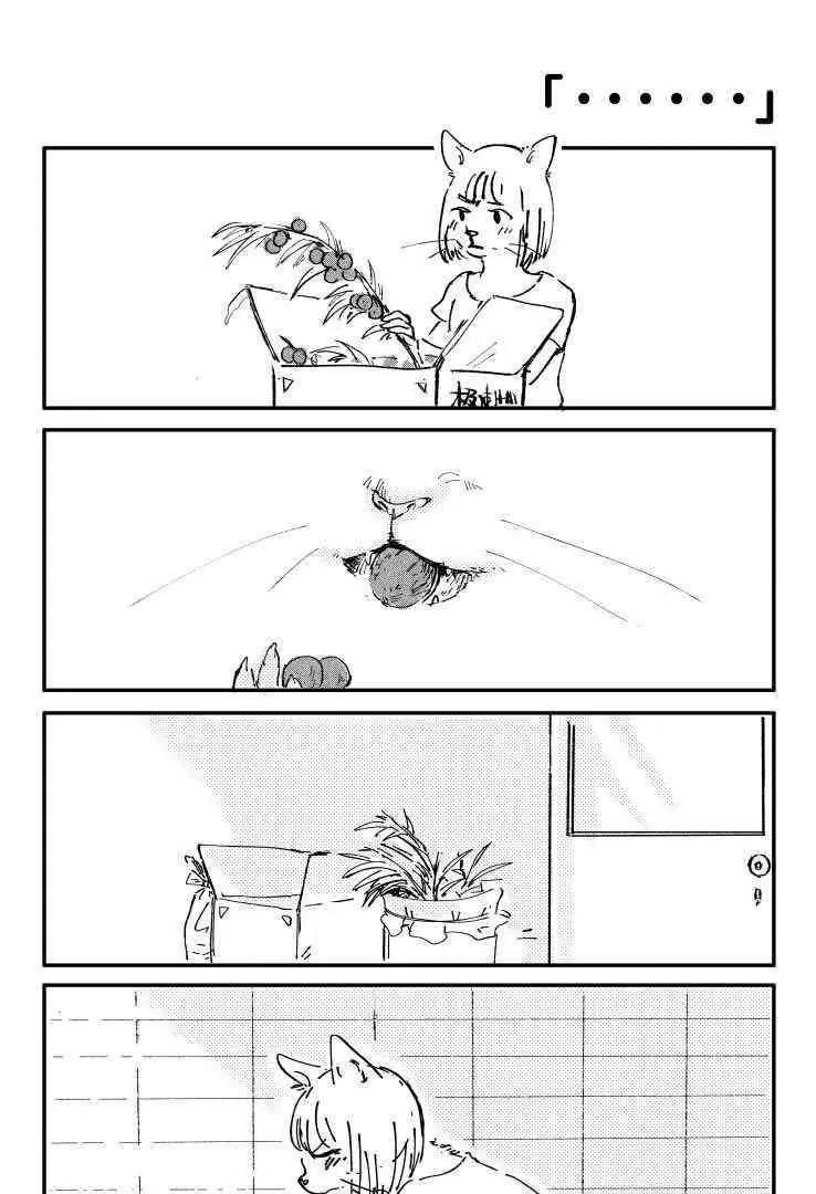 03 猫屎咖啡14