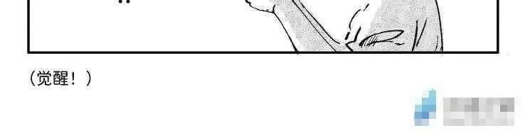 03 猫屎咖啡17