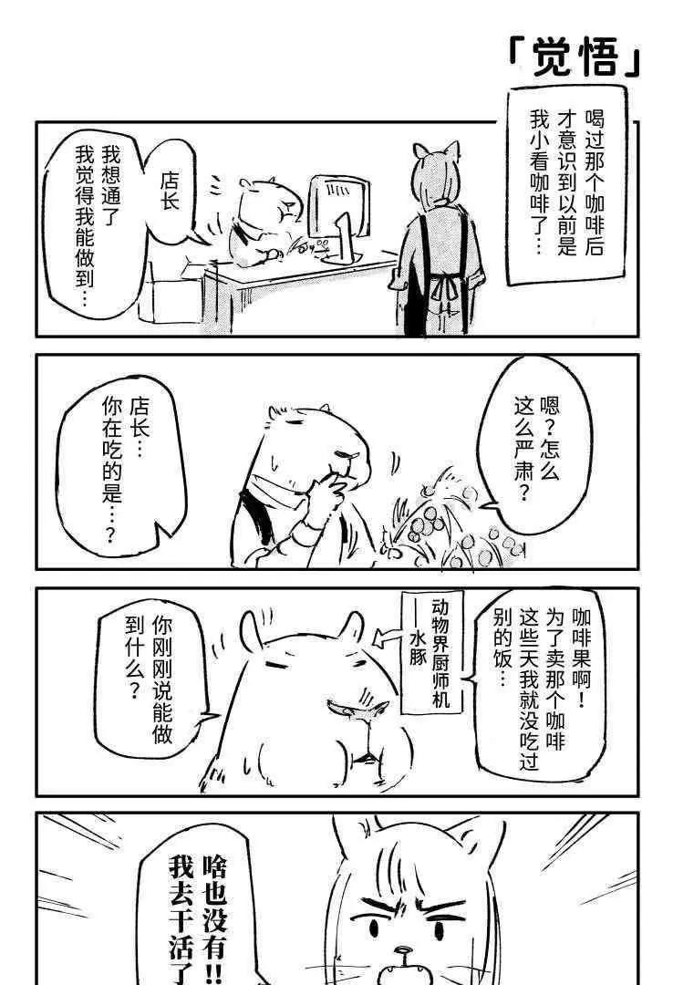 03 猫屎咖啡18