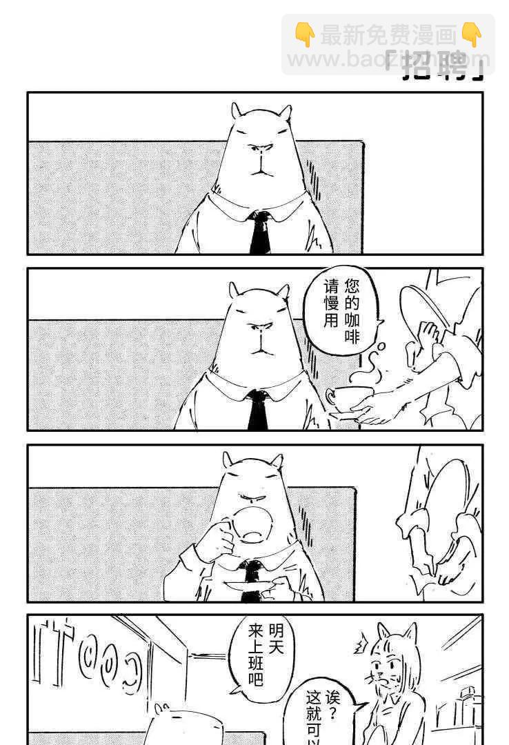 03 猫屎咖啡2