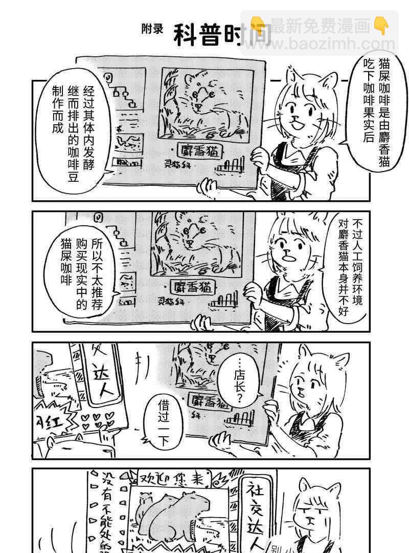 03 猫屎咖啡20