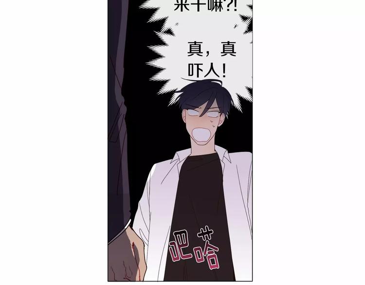 第1话 我只是长得凶！88