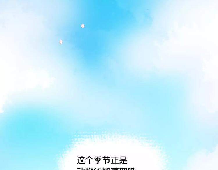 第1话 香蕉被谁吃掉了23