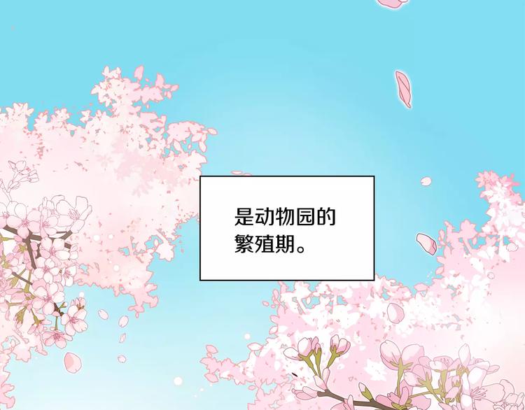 第1话 香蕉被谁吃掉了36