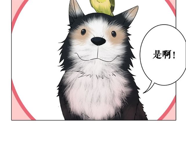 第46话 敢不敢赌？21
