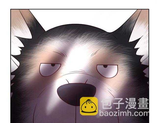第48话 都给本尊住手！77