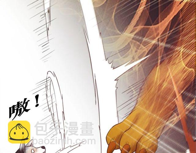 第48话 都给本尊住手！81
