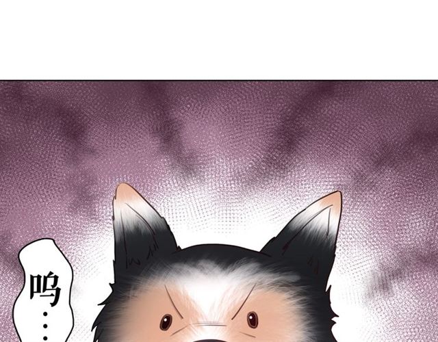 第51话 要打？我成全你！74