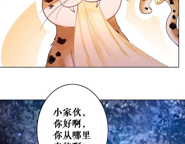 第60话 我要认你为主！42