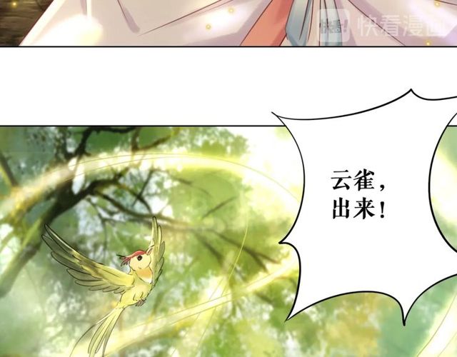第66话 本小姐可不会同情弱者66