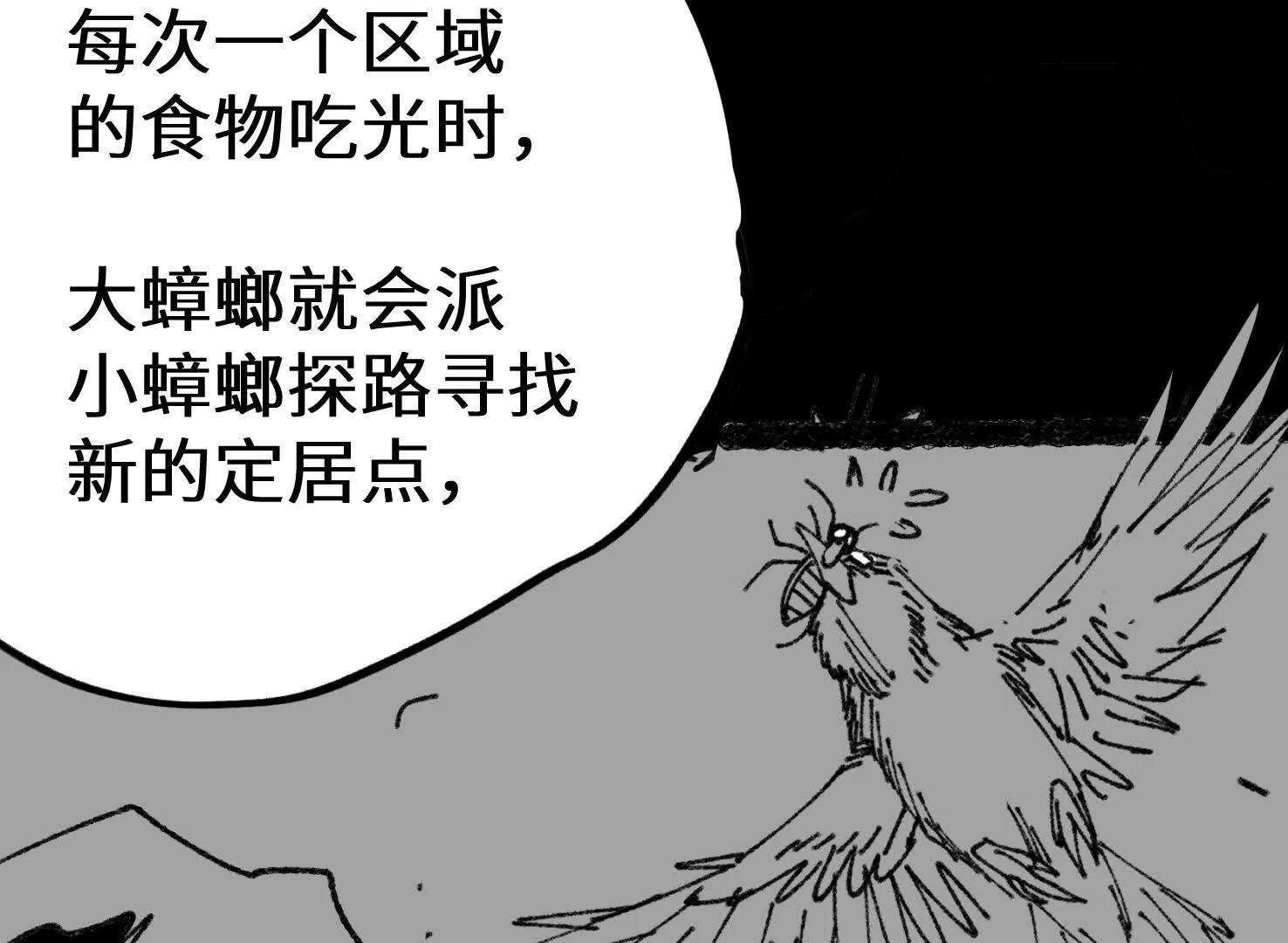弱肉强食的世界126